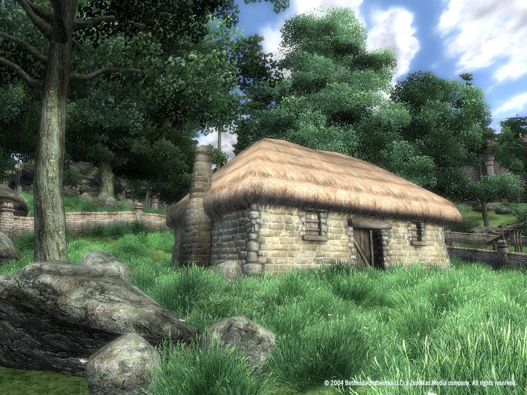 The Elder Scrolls IV: Oblivion® Game of the Year Edition (2009) screenshot 3