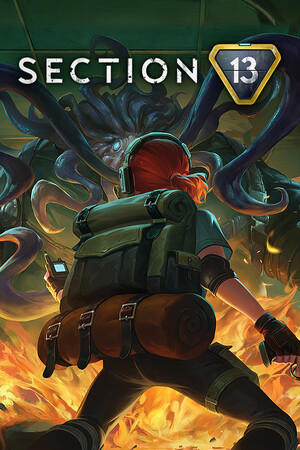 Section 13 cover art