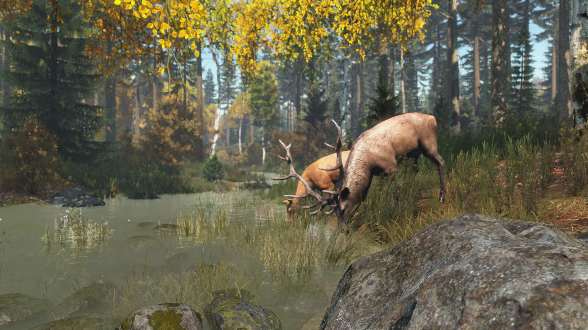 DayZ screenshot 2