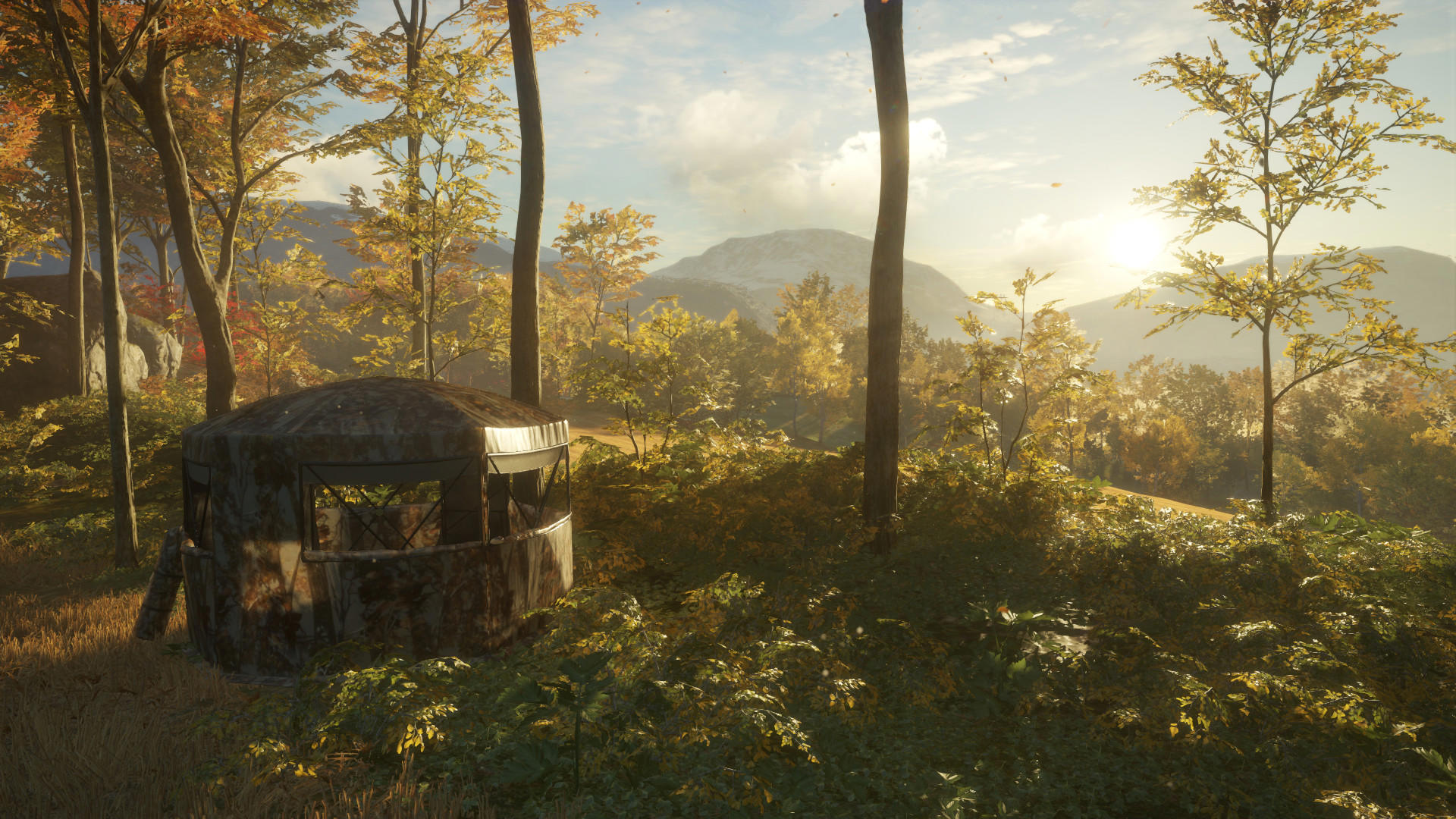theHunter: Call of the Wild™ - Tents & Ground Blinds screenshot 2