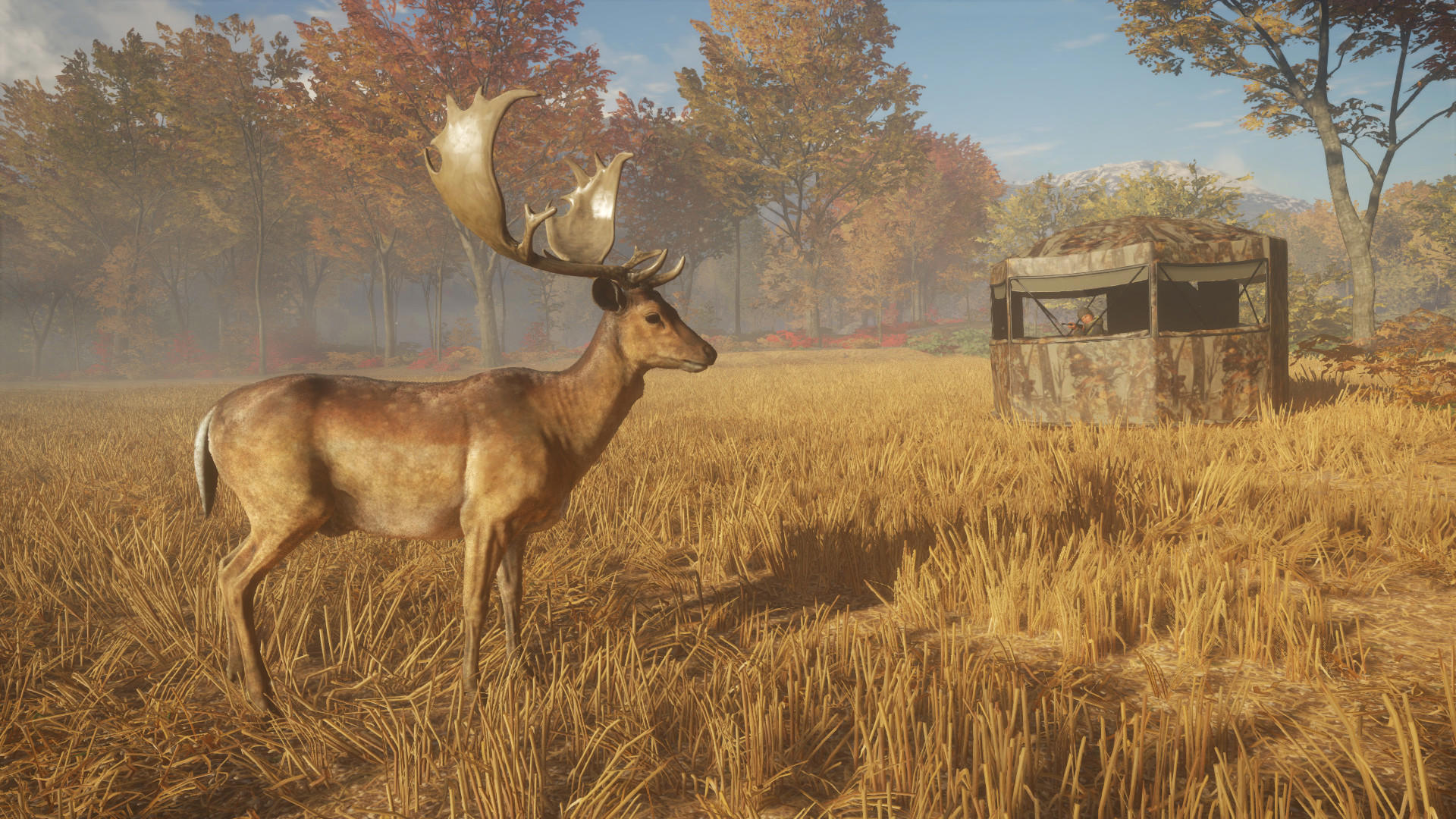 theHunter: Call of the Wild™ - Tents & Ground Blinds screenshot 1
