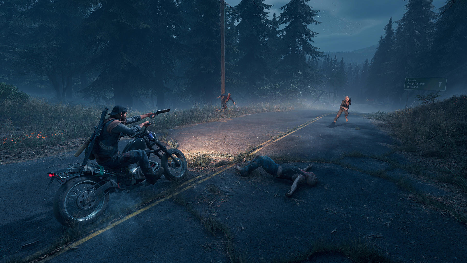 Days Gone screenshot 3