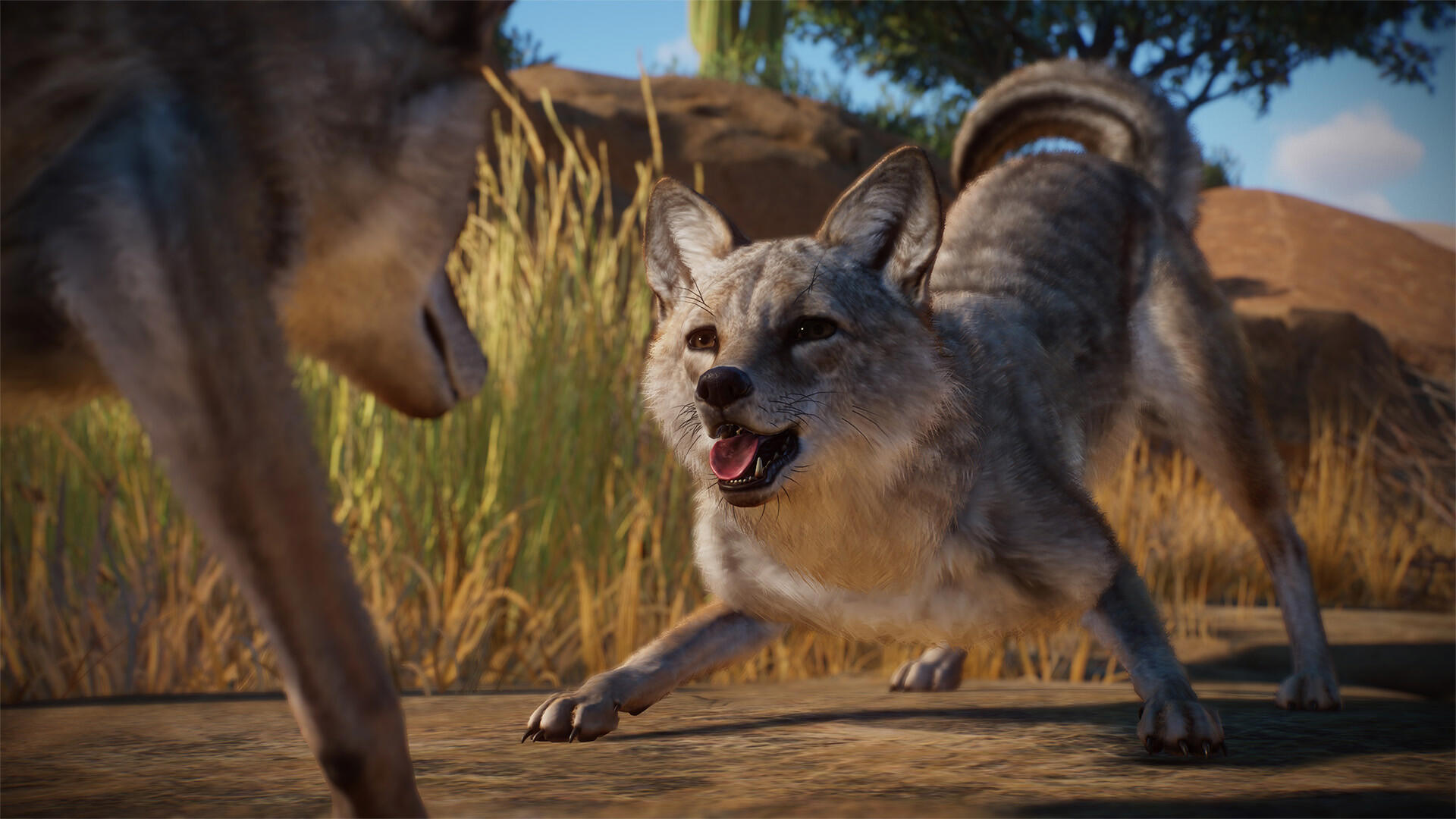 Planet Zoo: Americas Animal Pack screenshot 3