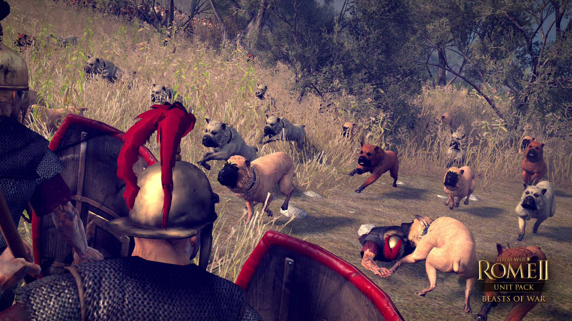 Total War: ROME II - Beasts of War Unit Pack screenshot 3