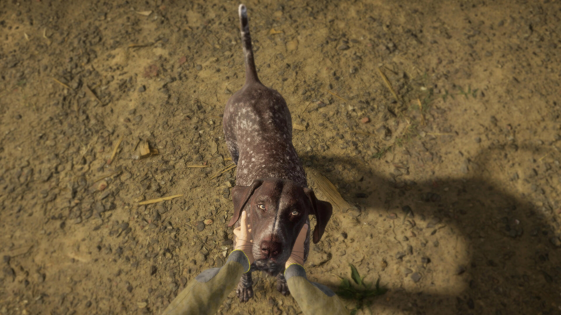 theHunter: Call of the Wild™ - German Shorthaired Pointer screenshot 1
