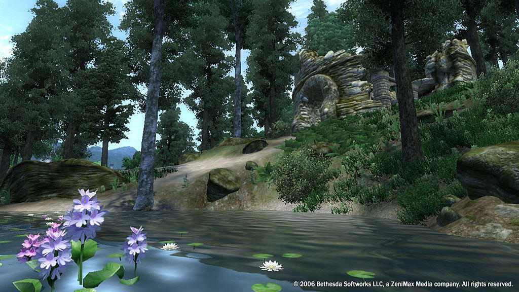 The Elder Scrolls IV: Oblivion® Game of the Year Edition (2009) screenshot 1