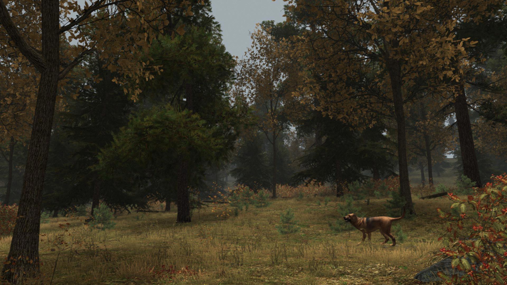 Walden, a game screenshot 3