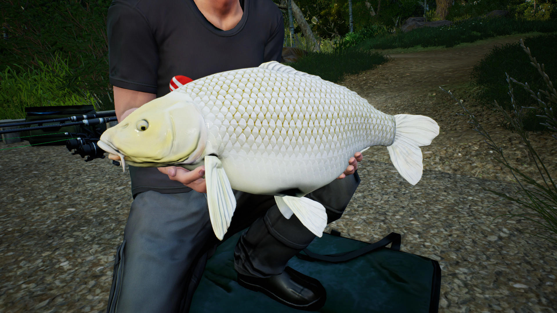 Euro Fishing: Hunters Lake screenshot 2