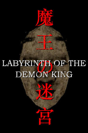 Labyrinth Of The Demon King cover art