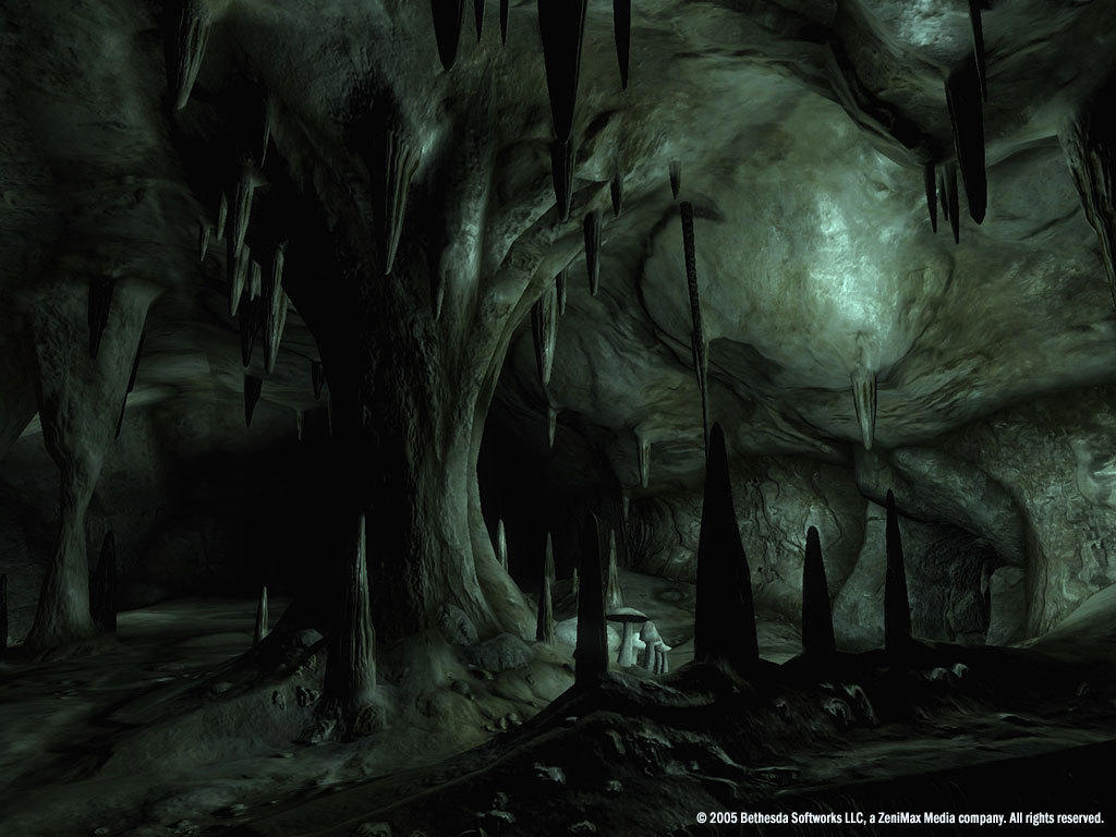 The Elder Scrolls IV: Oblivion® Game of the Year Edition (2009) screenshot 2