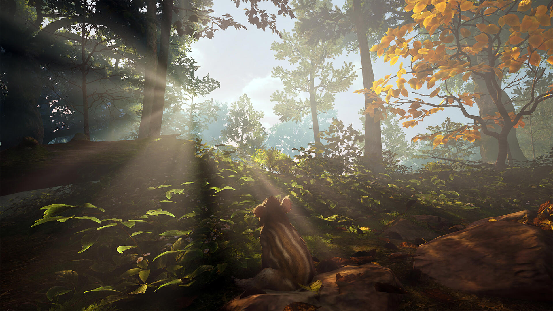 Adorable Adventures screenshot 3