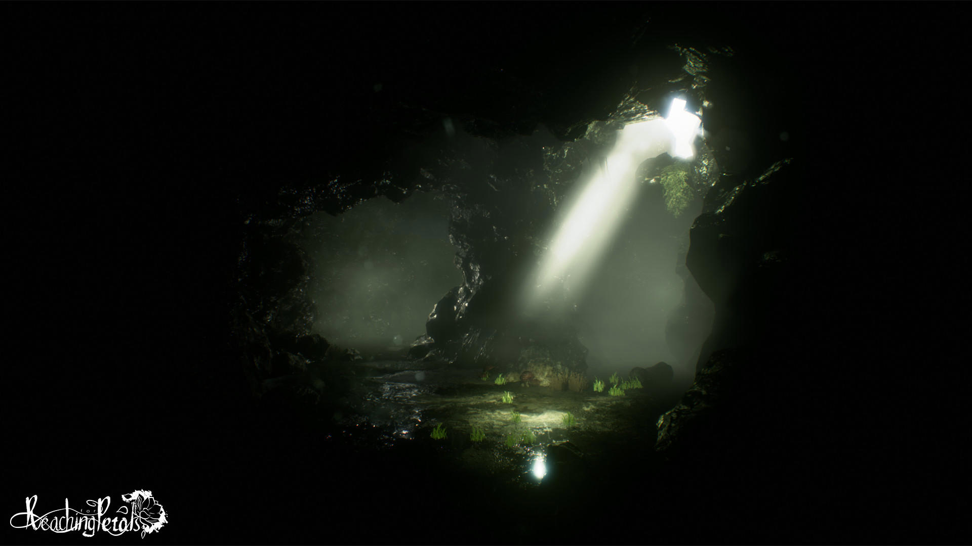 Reaching for Petals screenshot 3