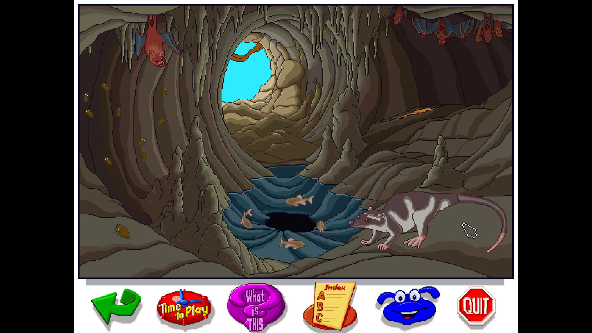 Let's Explore the Jungle (Junior Field Trips) screenshot 1