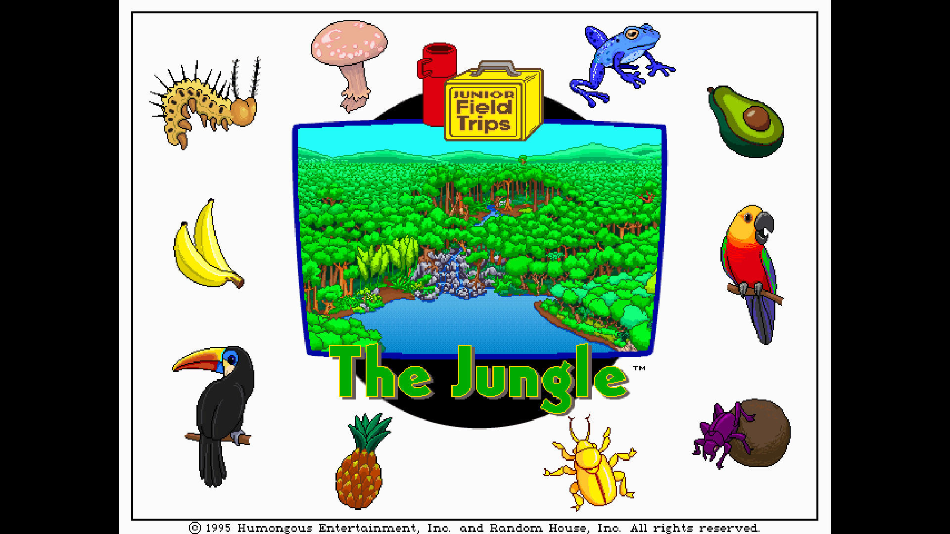Let's Explore the Jungle (Junior Field Trips) screenshot 3