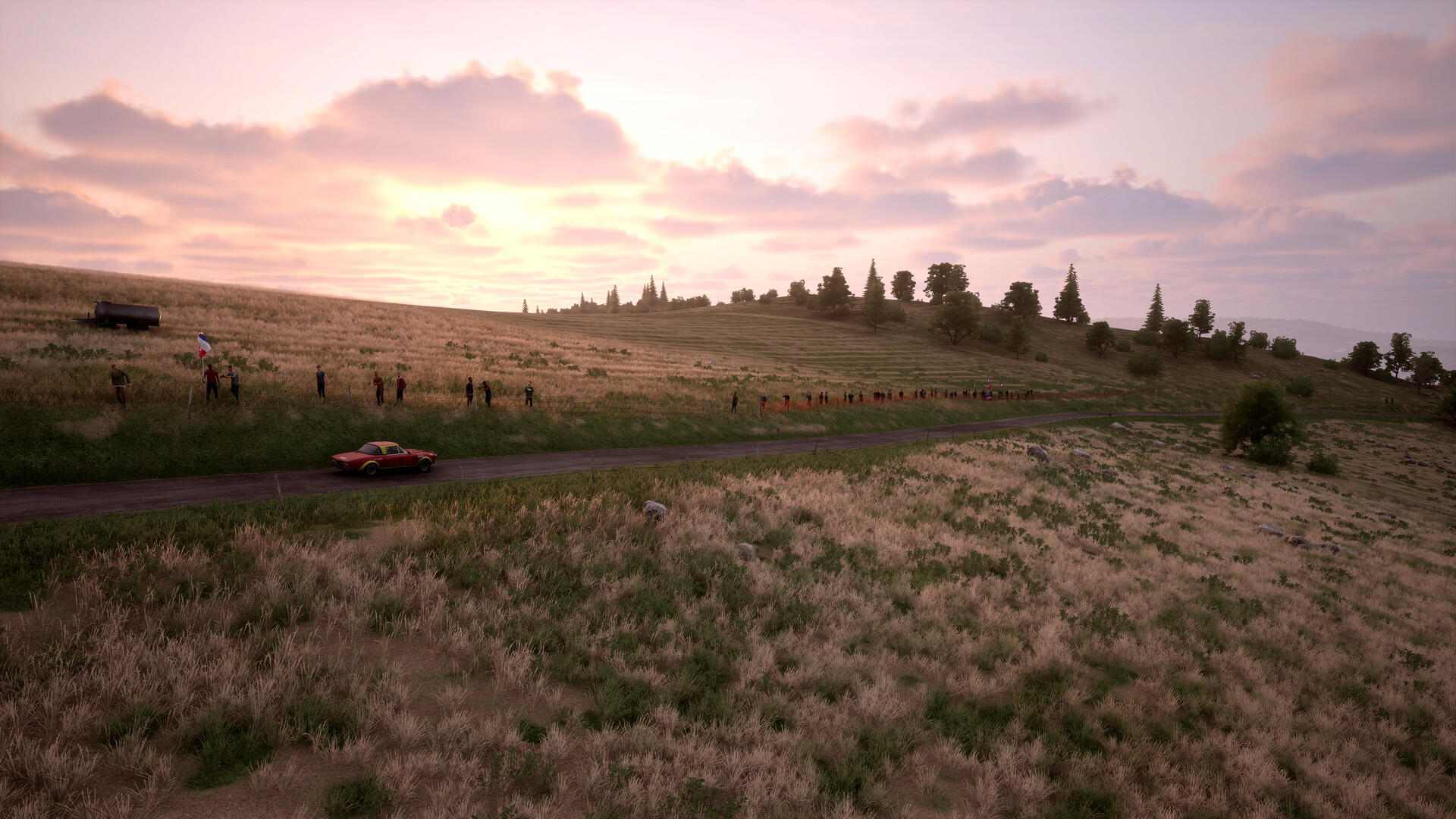 Assetto Corsa Rally screenshot 3
