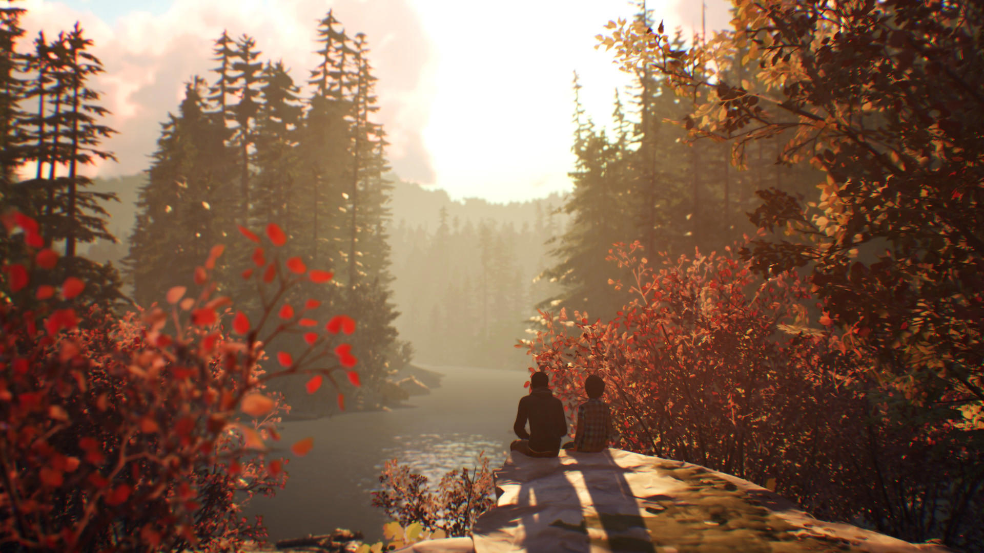 Life is Strange 2 - Arcadia Bay Patches DLC screenshot 2