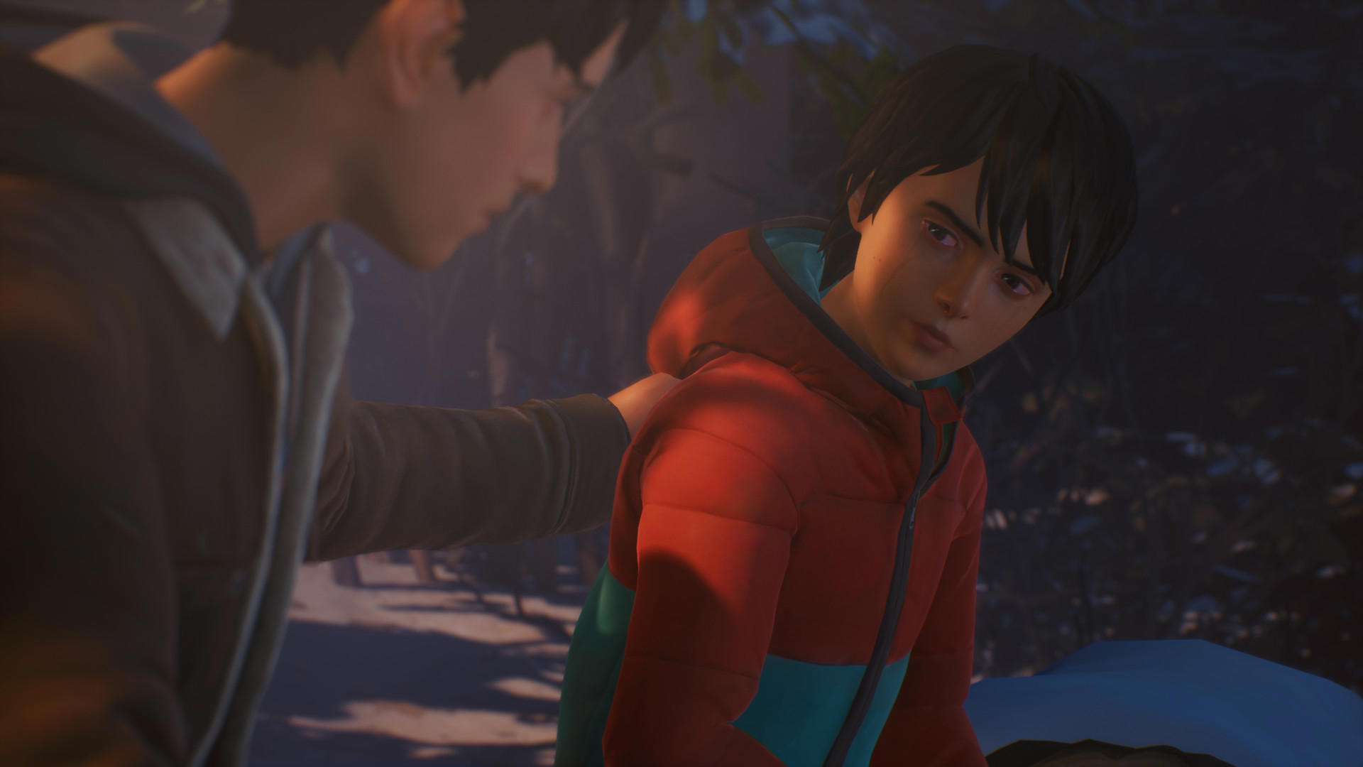 Life is Strange 2 - Arcadia Bay Patches DLC screenshot 1