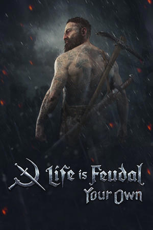 Life is Feudal: Your Own cover art