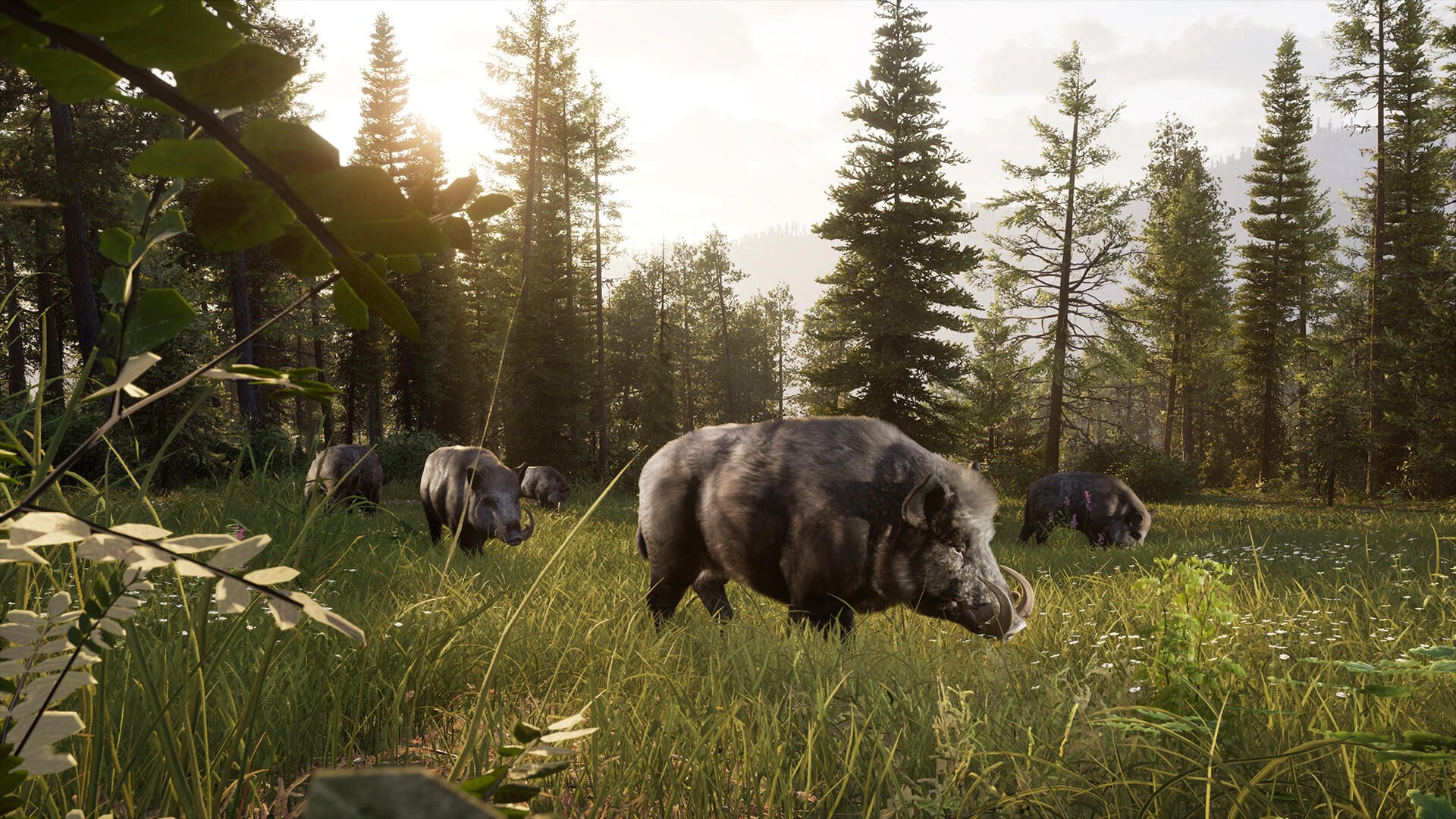 Way of the Hunter 2 screenshot 3