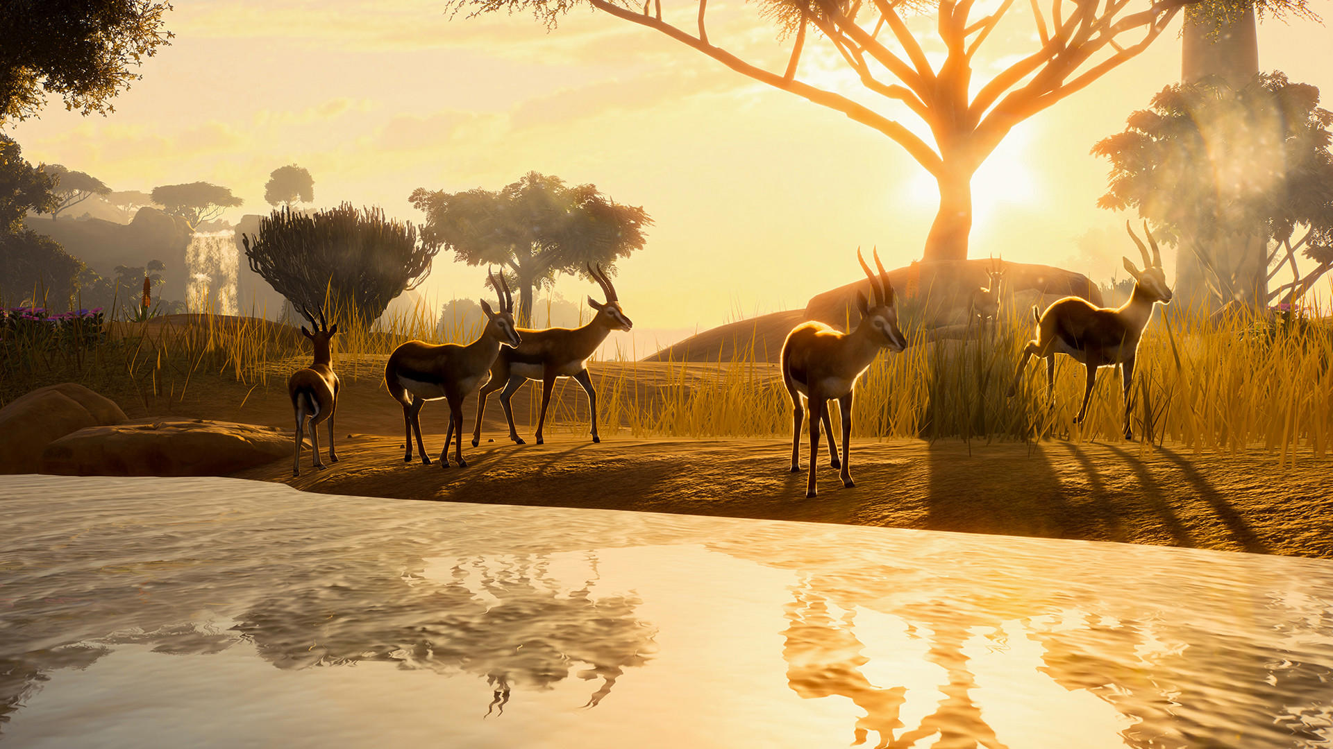 Planet Zoo: Deluxe Upgrade Pack screenshot 1