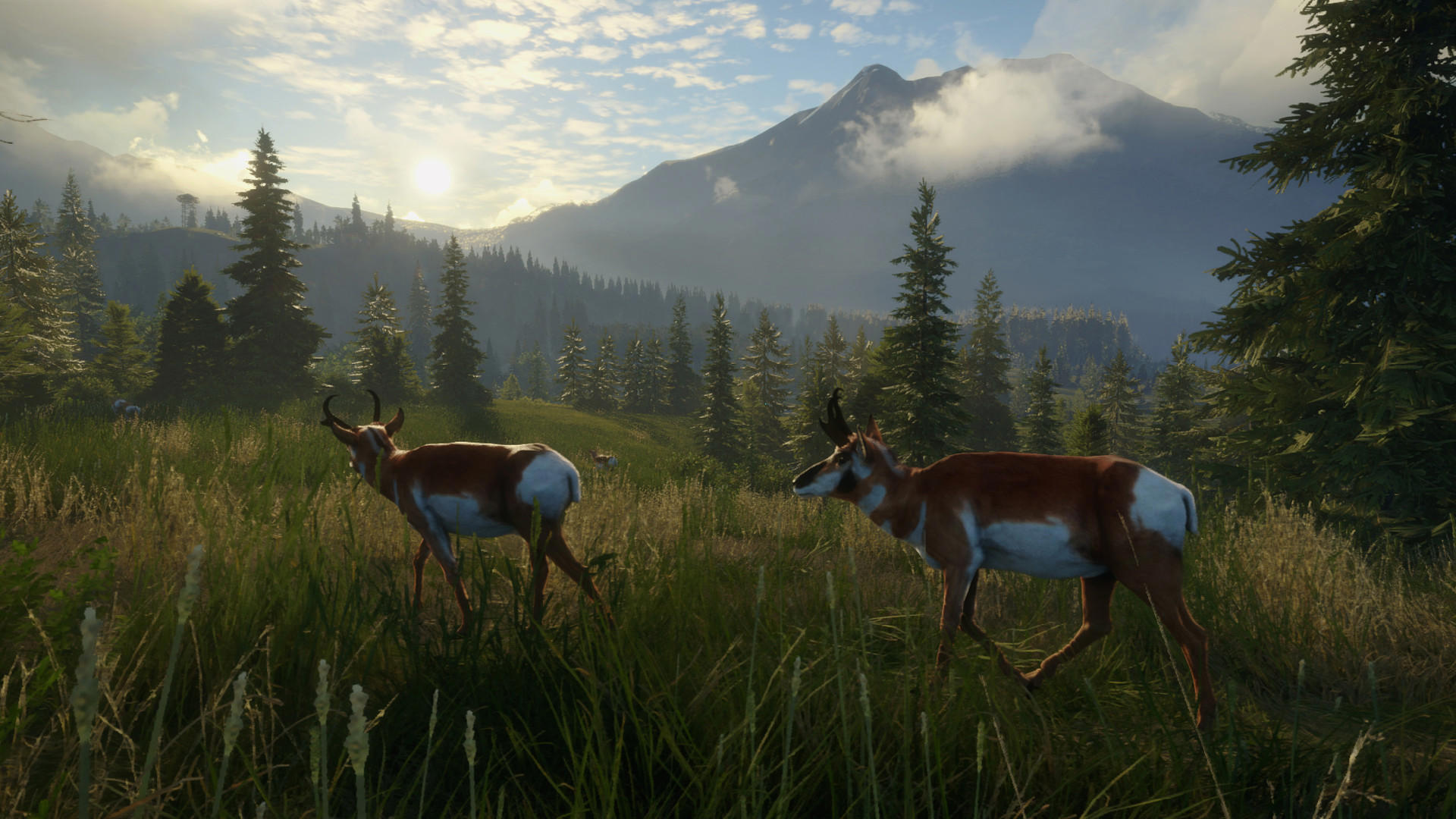 theHunter: Call of the Wild™ - Silver Ridge Peaks screenshot 1