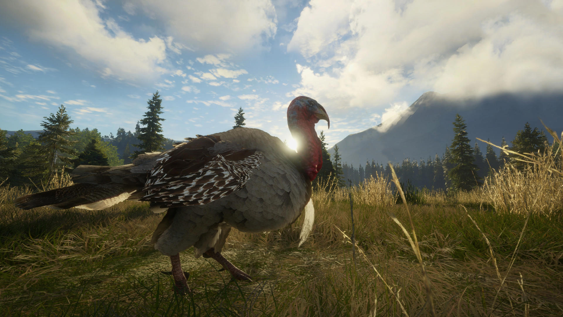 theHunter: Call of the Wild™ - Silver Ridge Peaks screenshot 2