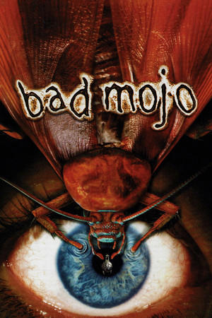 Bad Mojo Redux cover art