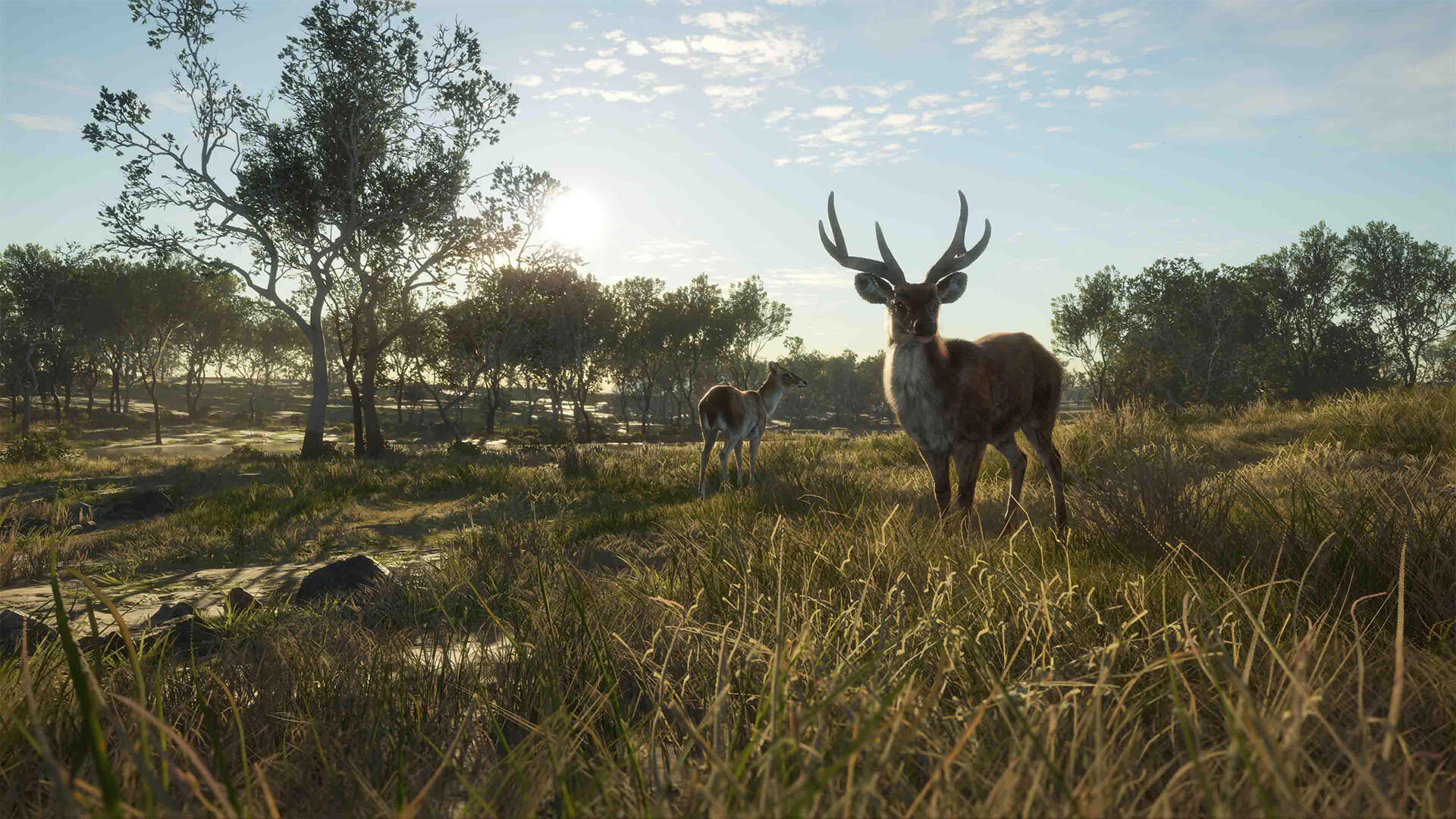 theHunter: Call of the Wild™ - Emerald Coast Australia screenshot 3