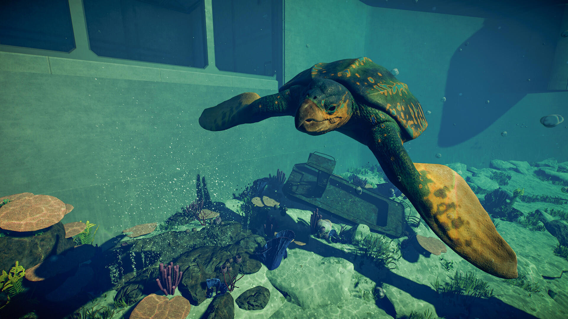 Jurassic World Evolution 2: Prehistoric Marine Species Pack screenshot 3
