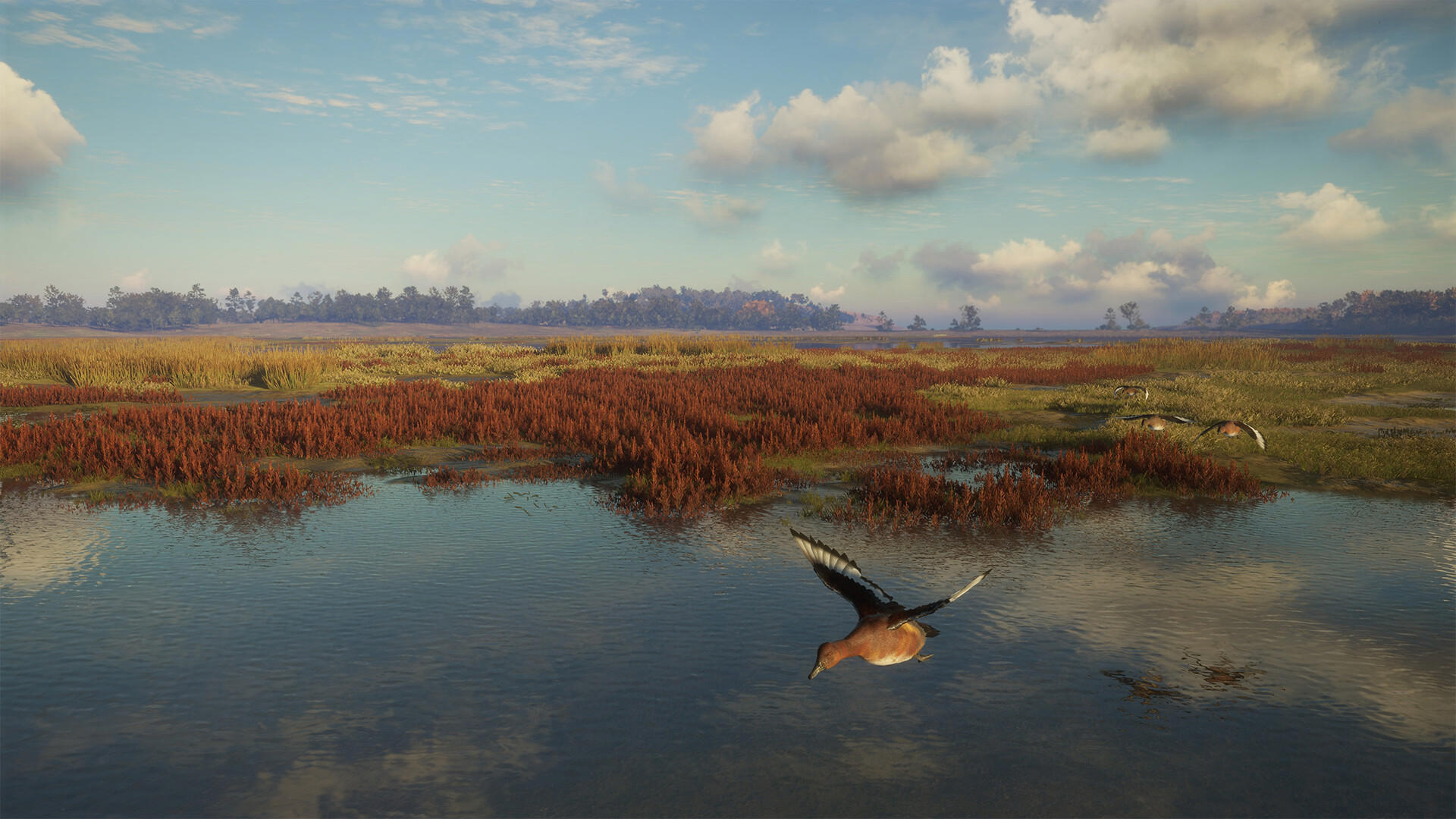theHunter: Call of the Wild™ - Salzwiesen Park screenshot 2