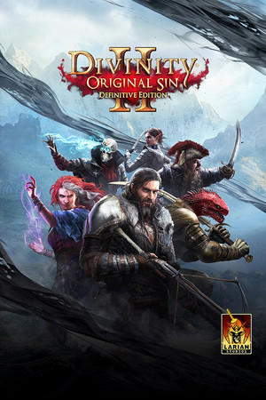 Divinity: Original Sin 2 - Definitive Edition cover art