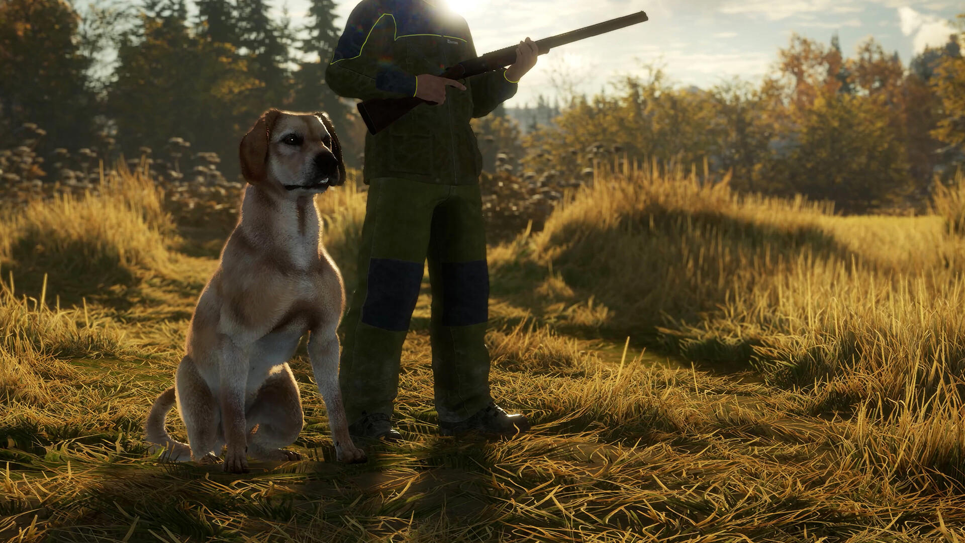 theHunter: Call of the Wild™ - Labrador Retriever screenshot 1
