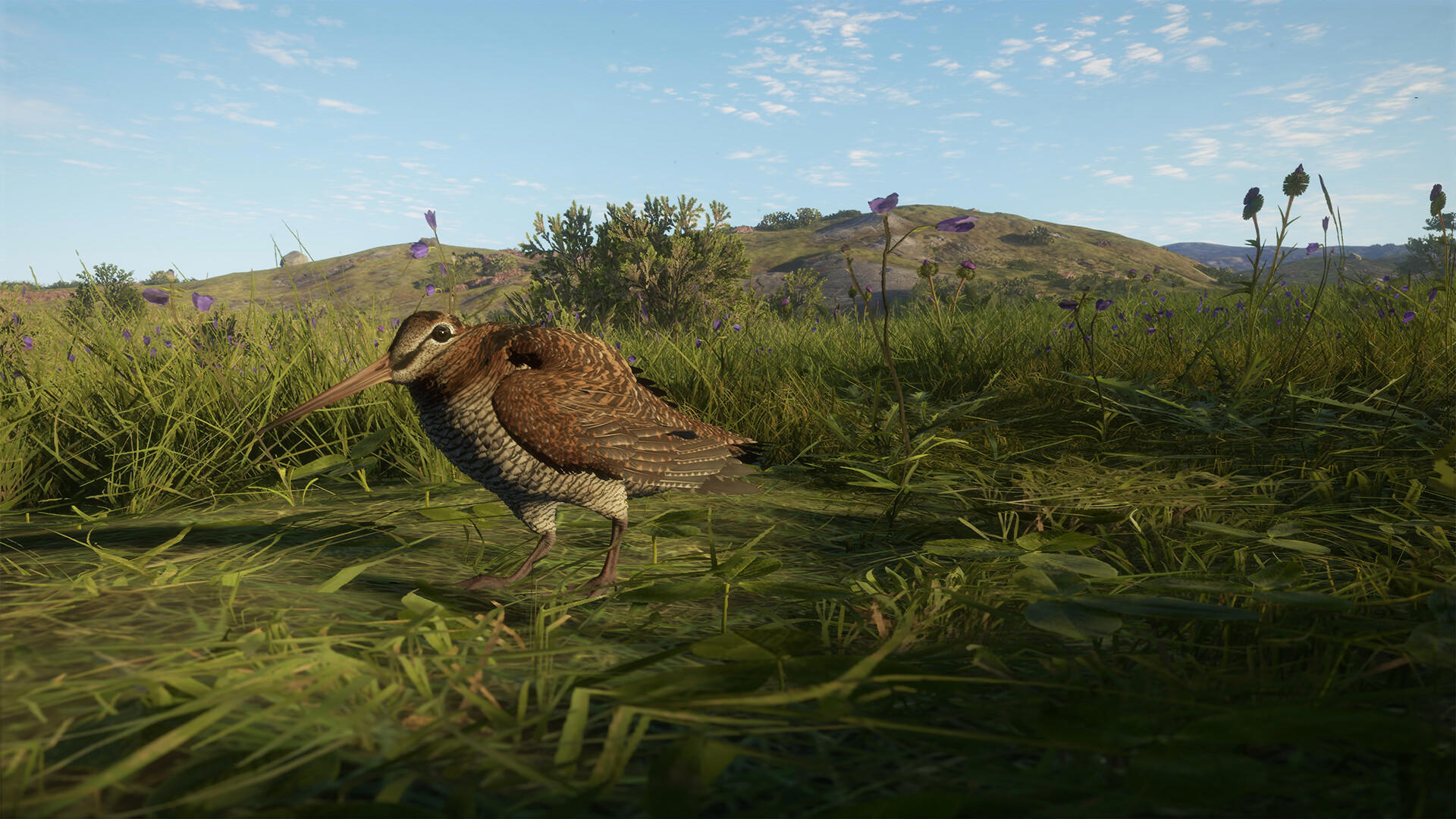 theHunter: Call of the Wild™ - Scotland Hunting Reserve screenshot 1