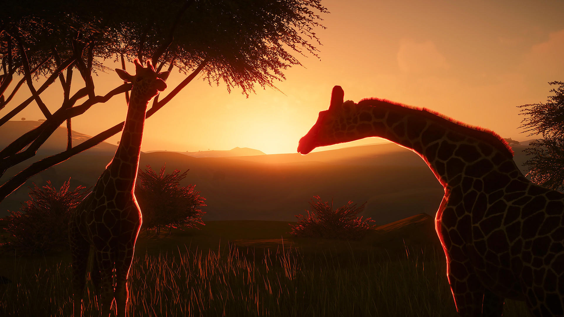 Planet Zoo screenshot 3